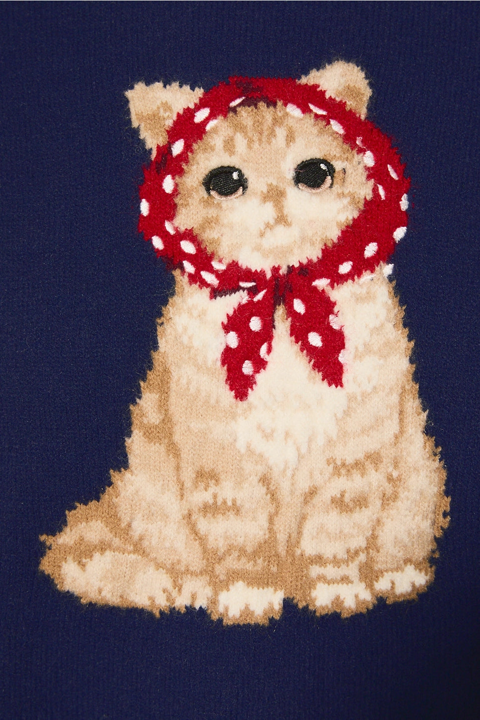 Cat w/ Headscarf Sweater
